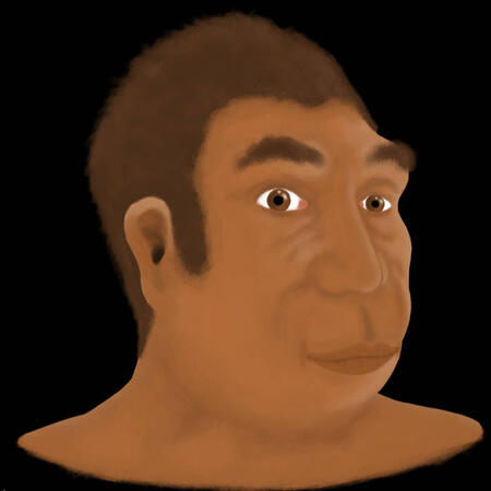 Homo neanderthalensis (Sima de los Huesos)